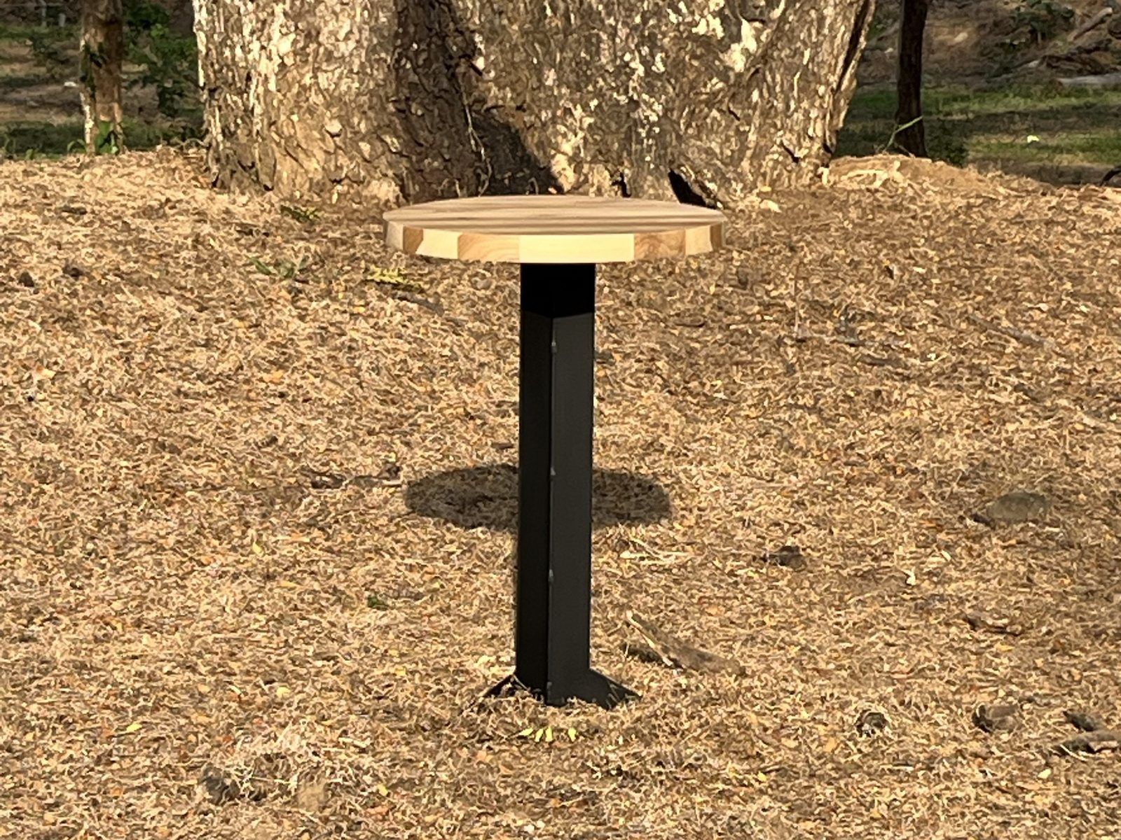 Cocktail bar table: Side view of the round top on its black steel leg, under a guanacaste tree