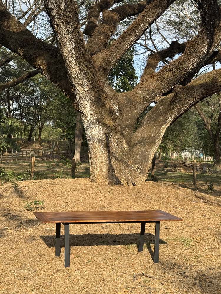 Guanacaste table: Guanacaste table under a guanacaste tree
