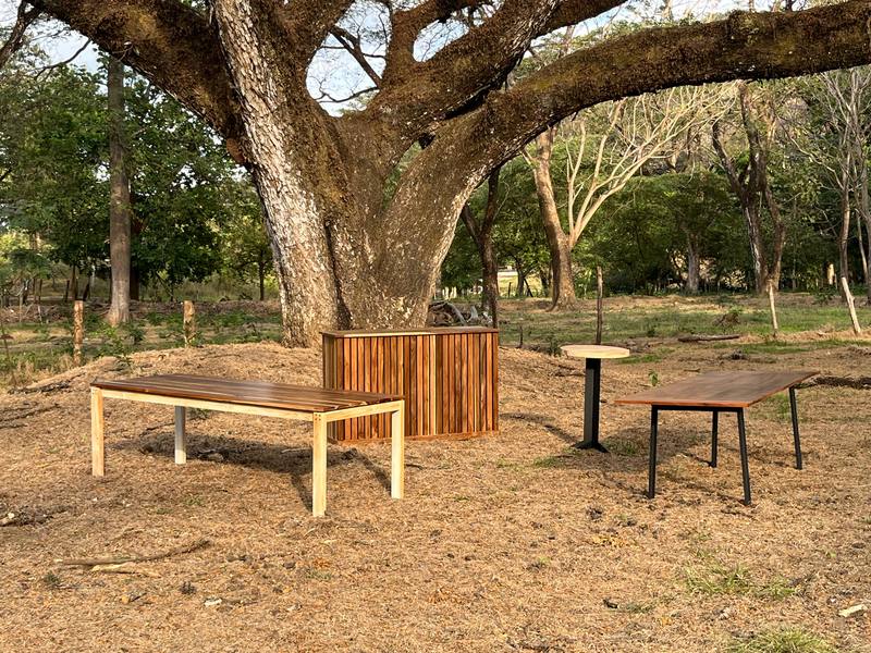 Laurel bar: Handmade laurel pacífico wood bar, styled at an event